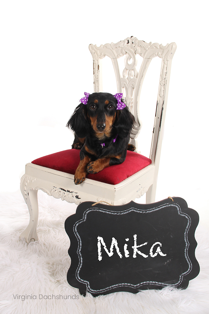 Mika